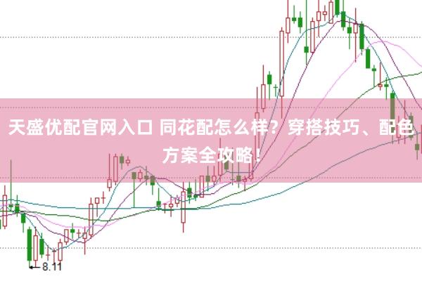 天盛優(yōu)配官網(wǎng)入口 同花配怎么樣？穿搭技巧、配色方案全攻略！