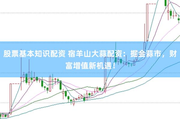 股票基本知識(shí)配資 宿羊山大蒜配資：掘金蒜市，財(cái)富增值新機(jī)遇！
